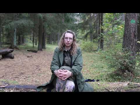 Ką susigrąžinti? M. Monk