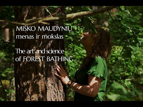 The Art And Science of Forest Bathing / Miško maudynių menas ir mokslas