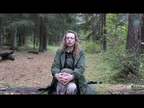 Su kuo susitaikyti? M. Monk