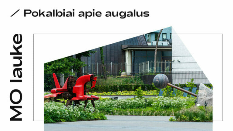 Mo vasara pokalbiai apie augalus 1024x576 1