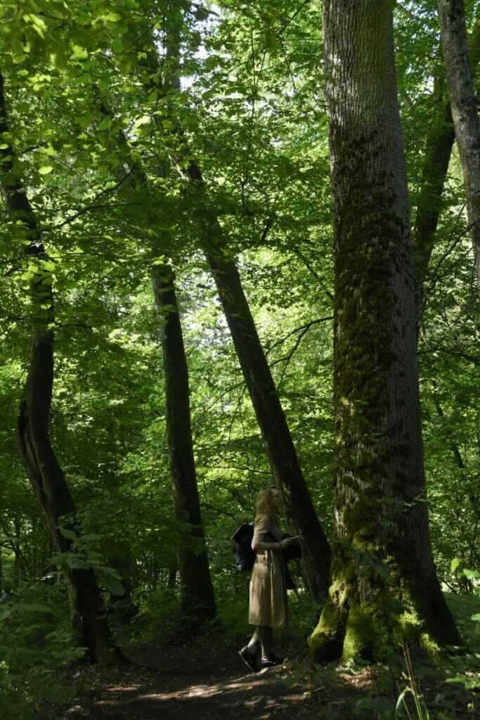 Moteris miške, apkabinusi medį. "Miško maudynės" gamtoje.
