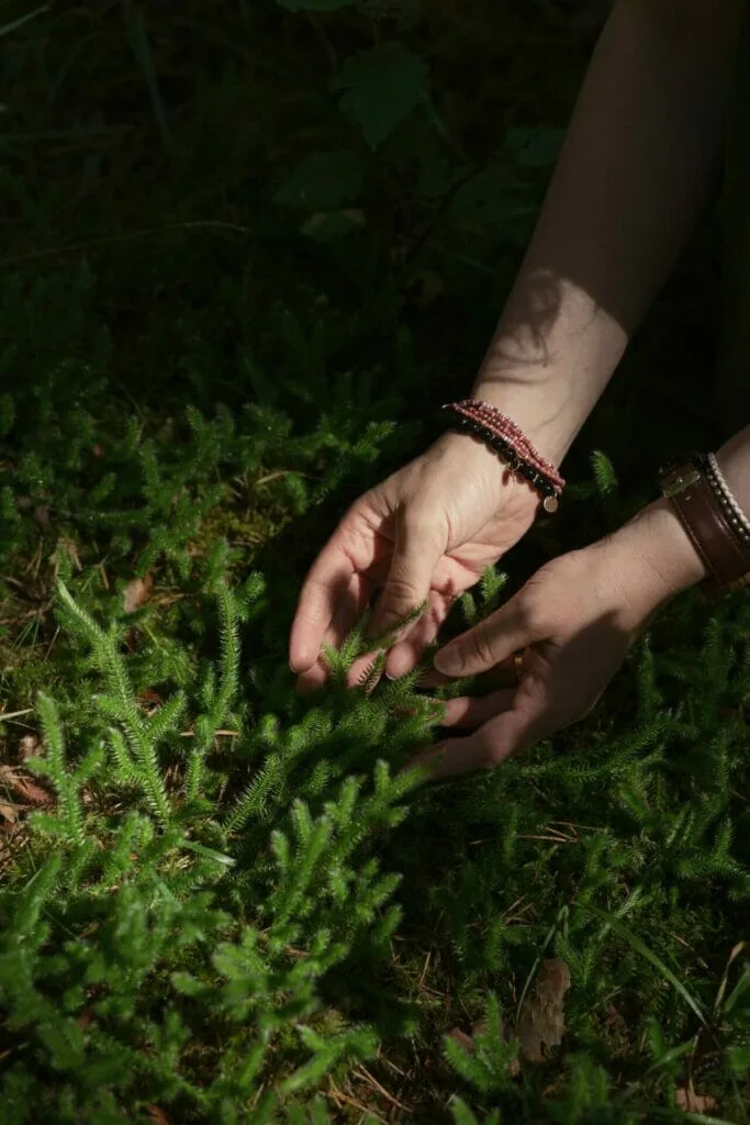 Rankos liečia žalią miško samaną. Miško maudynės gamtoje.