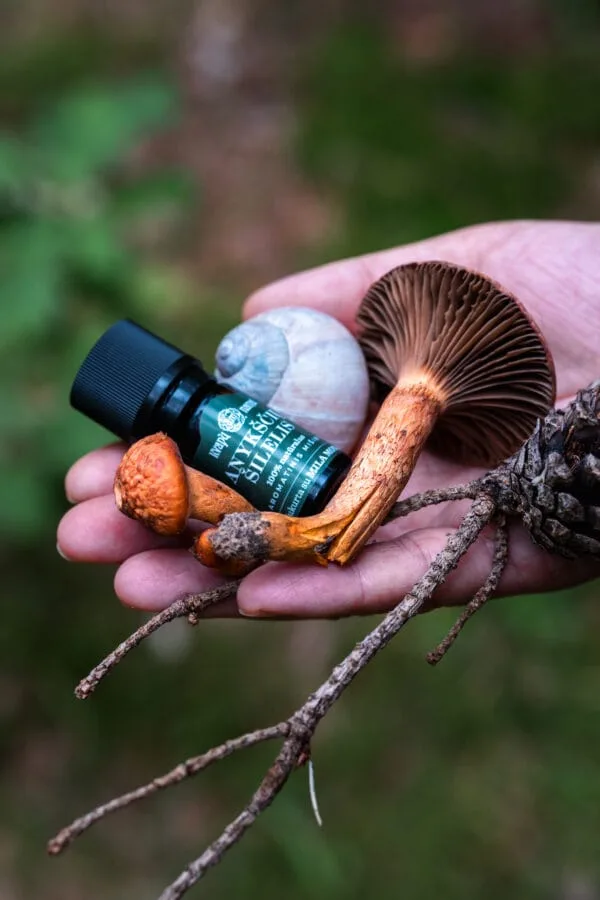 Arom. eterinių aliejų mišinys ‘Anykščių šilelis’