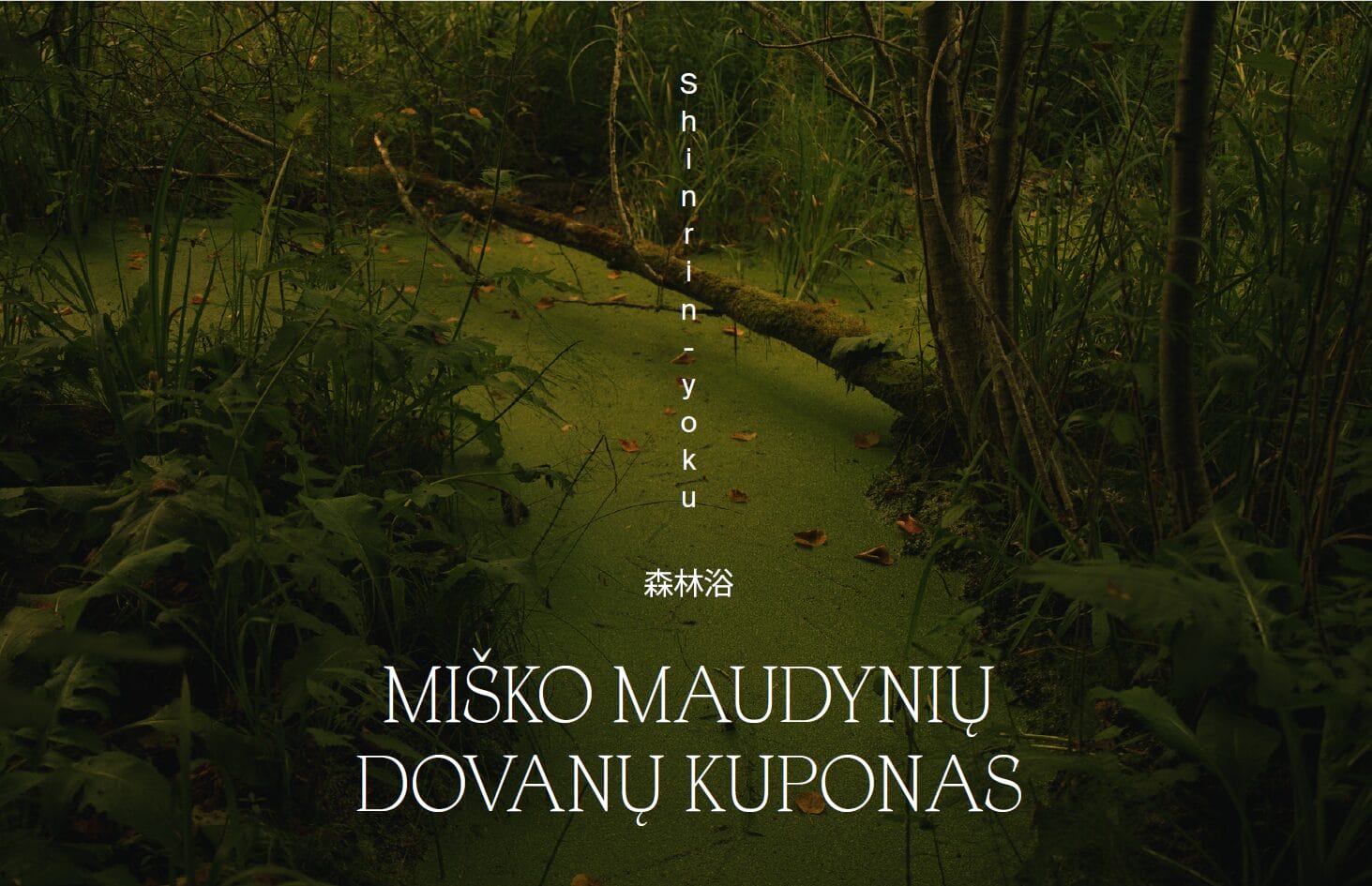 Dovanų kuponas į viešas miško maudynes (1 asmeniui)