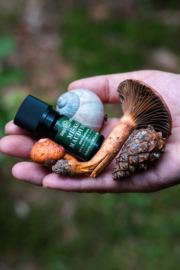 MM 4 Arom. eterinių aliejų mišinys ‘Miško maudynės’