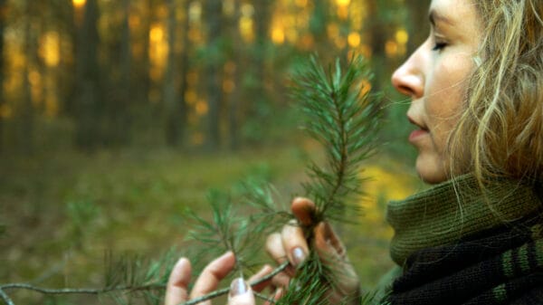 MM 5 Arom. eterinių aliejų mišinys ‘Miško maudynės’