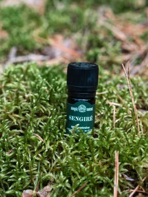 Arom. eterinių aliejų mišinys ‘Sengirė’