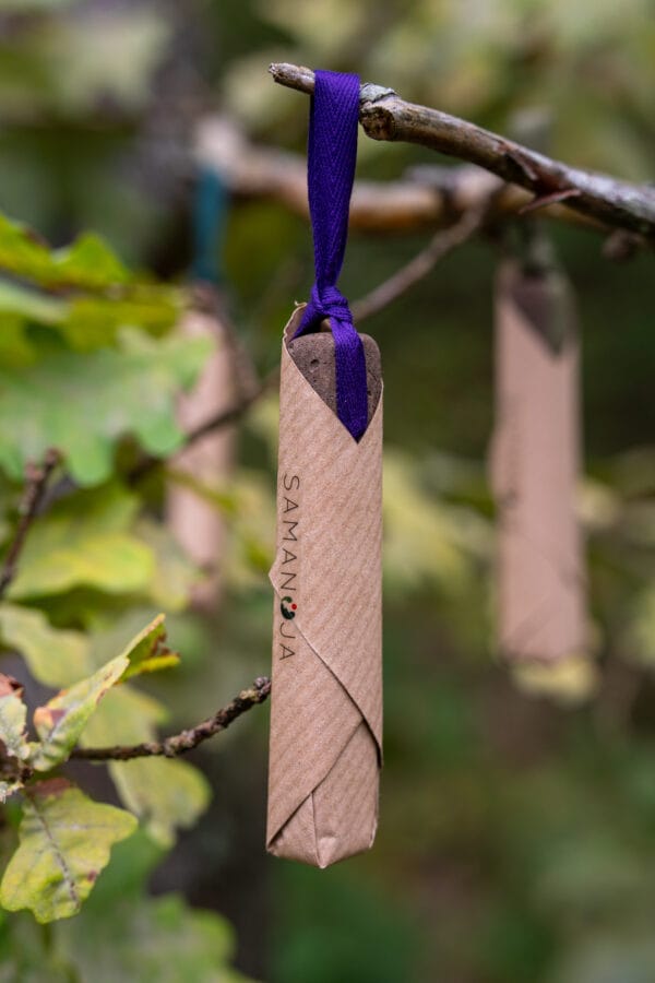 Kvapų pagaliukas 3 Kvapų pagaliukas (Molinis difuzorius)