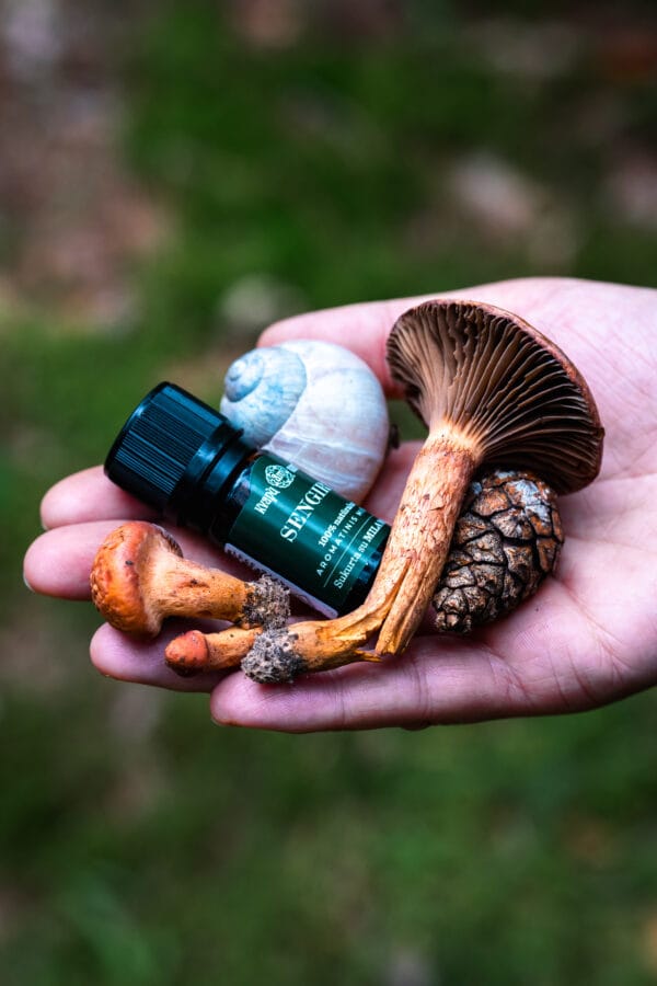 Sengire 4 Arom. eterinių aliejų mišinys ‘Sengirė’