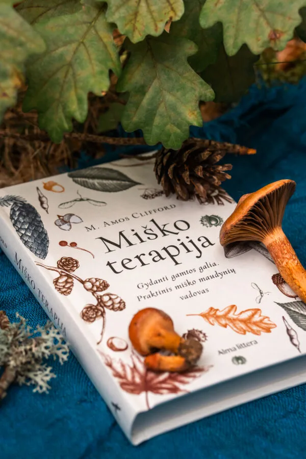 Knyga “Miško terapija” Gydanti gamtos galia. Praktinis miško maudynių vadovas.