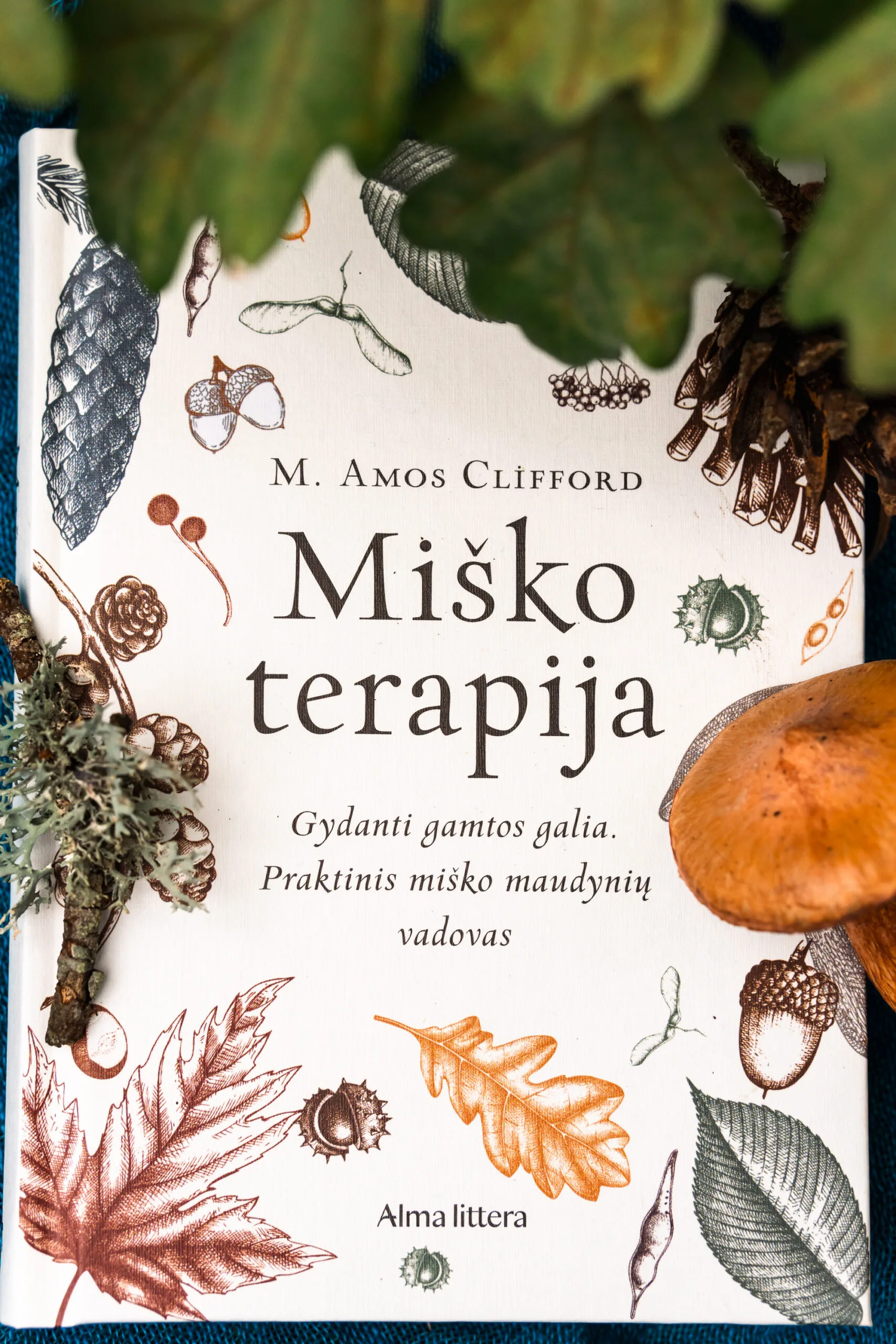 Knyga "Miško terapija": gydanti gamtos galia, praktinis vadovas. Miško elementų iliustracijos. Alma littera.