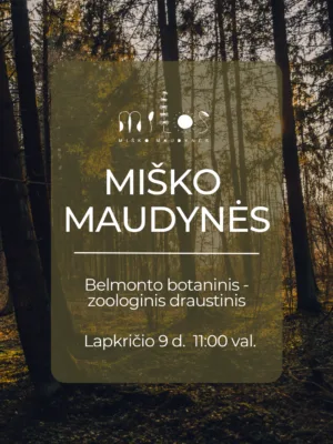 2024.11.09 Miško maudynės Belmonto botaninis ir zoologinis draustinis
