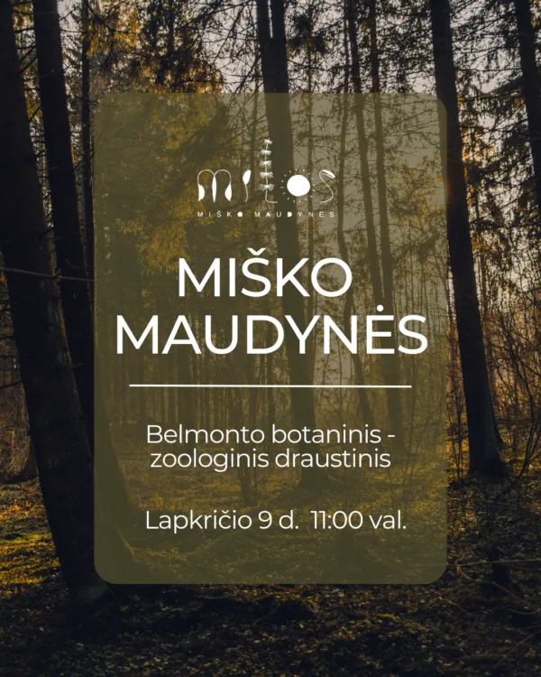 2024.11.09 Miško maudynės Belmonto botaninis ir zoologinis draustinis