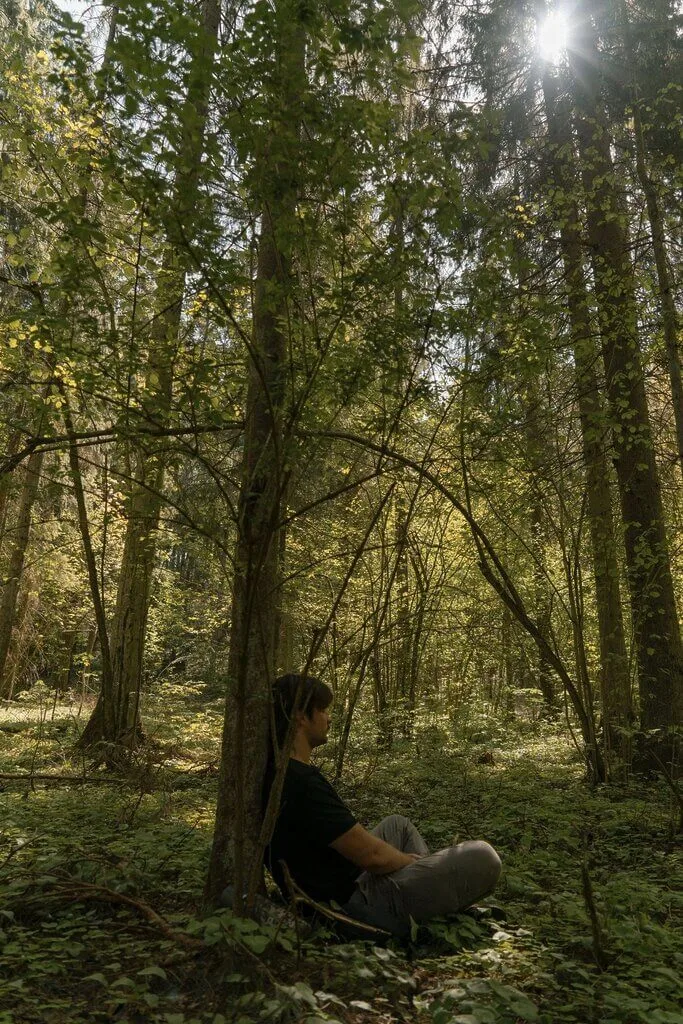 A1de3873 d3f1 4e57 9e6c b5d7c2318f39