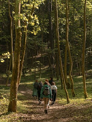Dovanų kuponas į viešas miško maudynes (1 asmeniui)