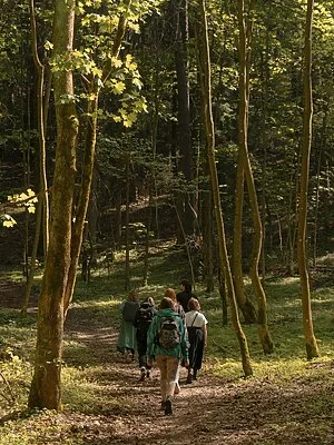 Dovanų kuponas į viešas miško maudynes (1 asmeniui)