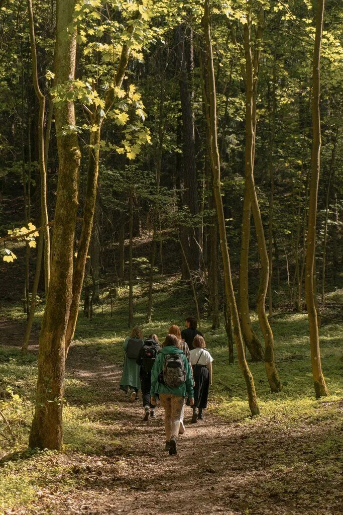 E2f5fccb 20df 492e 9d73 a22bc1fb1985