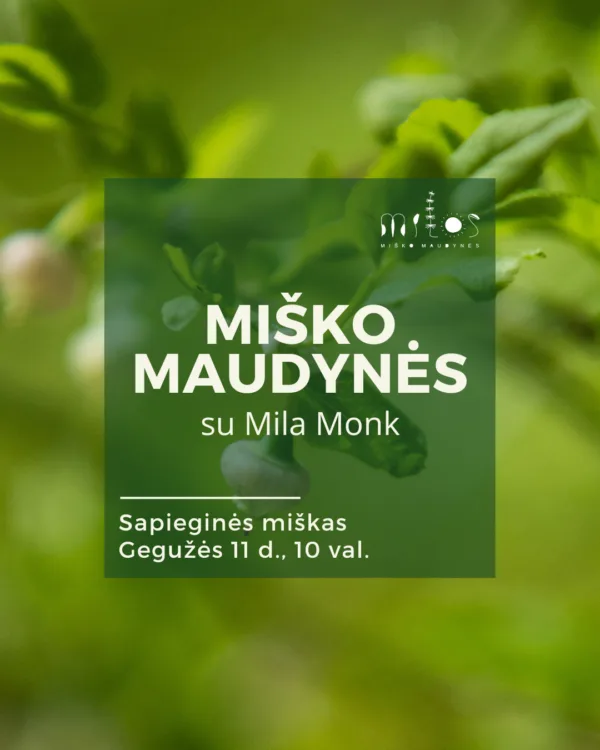 2025.05.11 Miško maudynės Sapieginės miškas