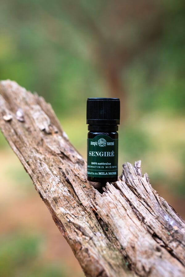 Copy of 240821_mmm-68 Rinkinys Nr. 6 „Kur tik uostai, vis miela“