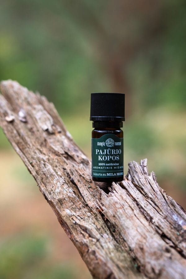 Copy of 240821_mmm-71 Rinkinys Nr. 6 „Kur tik uostai, vis miela“