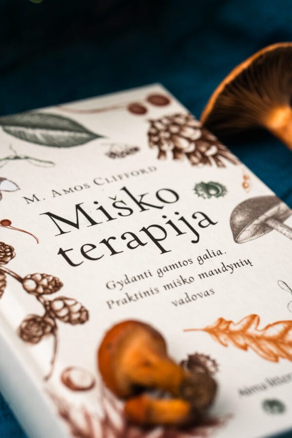 Rinkinys 5.6 Rinkinys Nr. 5 „Ar miške aš čia stoviu, ar danguj, ar rojuj?!“