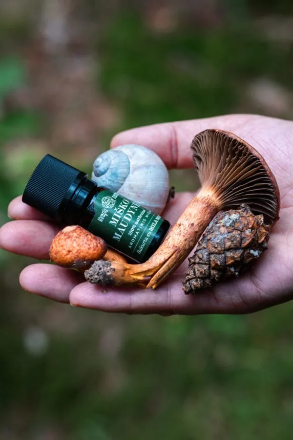 Rinkinys Nr. 5 „Ar miške aš čia stoviu, ar danguj, ar rojuj?!“