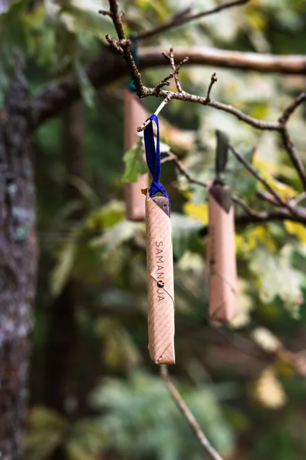 Rinkinys Nr. 7 „Giria nosį trina“