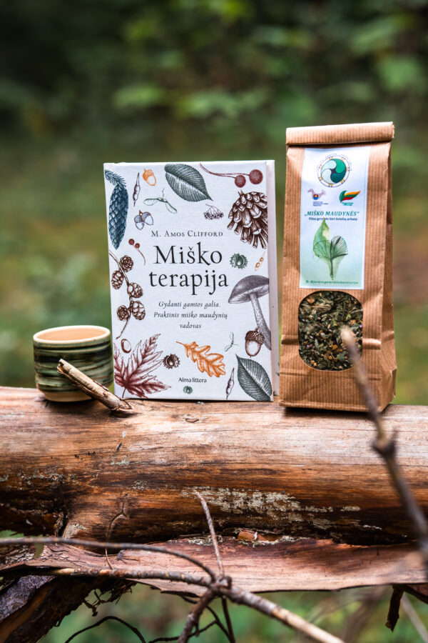 Rinkinys Nr. 2 „Ažu širdies tveria”