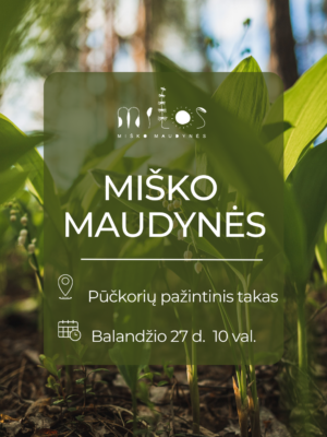 misko maudynes puckoriu 2025.04.27 Miško maudynės Pūčkorių pažintiniame take