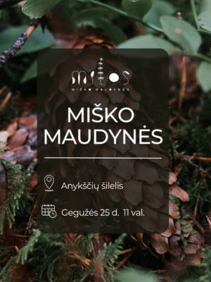 misko-maudynes-anyksciu-silelis 2025.05.25 Miško maudynės Anykščių šilely