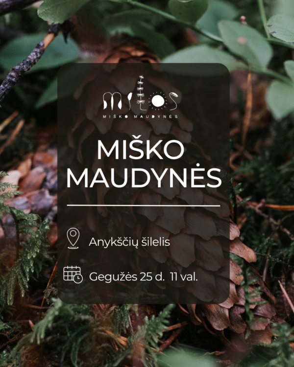 misko-maudynes-anyksciu-silelis 2025.05.25 Miško maudynės Anykščių šilely