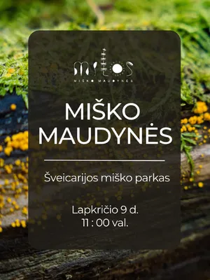 Misko maudynes Misko maudynes