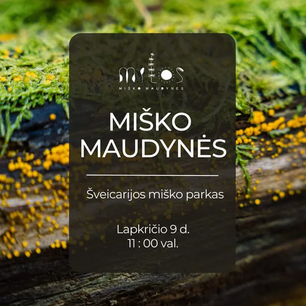 Misko maudynes Misko maudynes