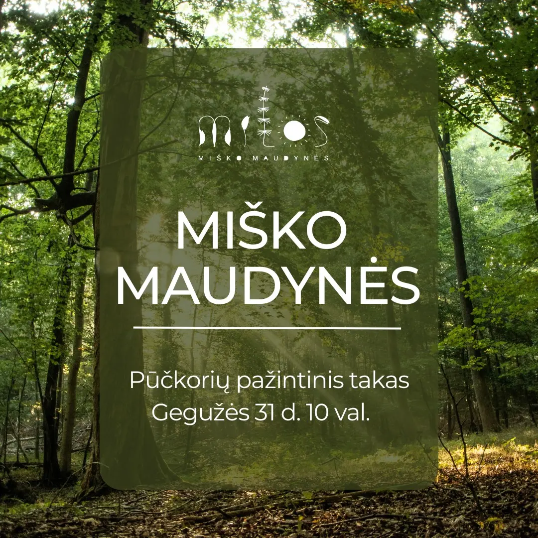 2026.05.31 Miško maudynės Pūčkorių pažintiniame take