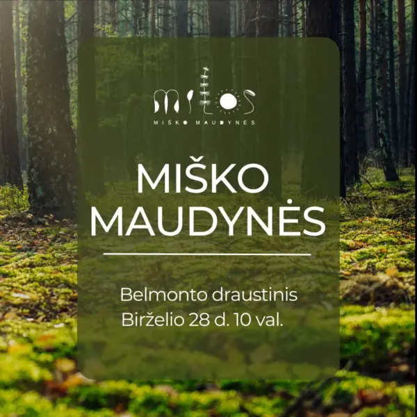 IG feedas kvadratas-2 Miško maudynės Belmonto draustinyje, 2026.06.28. Atgaiva gamtoje, miško terapija.