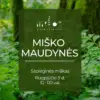Misko Maudynes Sapiegines Rugpjutis Miško maudynės Sapieginės miške, Rugpjūčio 9 d. 10:00 val.