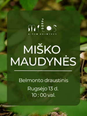 Misko Maudynes Belmonte Rugsejo 13 Miško maudynės Belmonte draustinyje rugsėjo 13 d. 10 val.