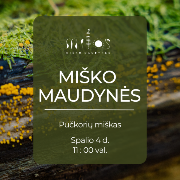 Misko Maudynes Puckoriu Take 2026 10 04 Miško maudynės Pūčkorių pažintiniame take 2026-10-04