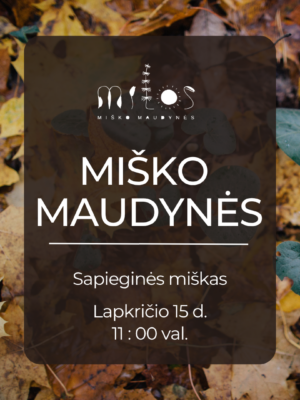 Misko Maudynes Sapieginis Miskas Lapkricio 15 Miško maudynės Sapieginės miške lapkričio 15 d. 11 val.