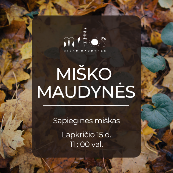 Misko Maudynes Sapieginis Miskas Lapkricio 15 Miško maudynės Sapieginės miške lapkričio 15 d. 11 val.
