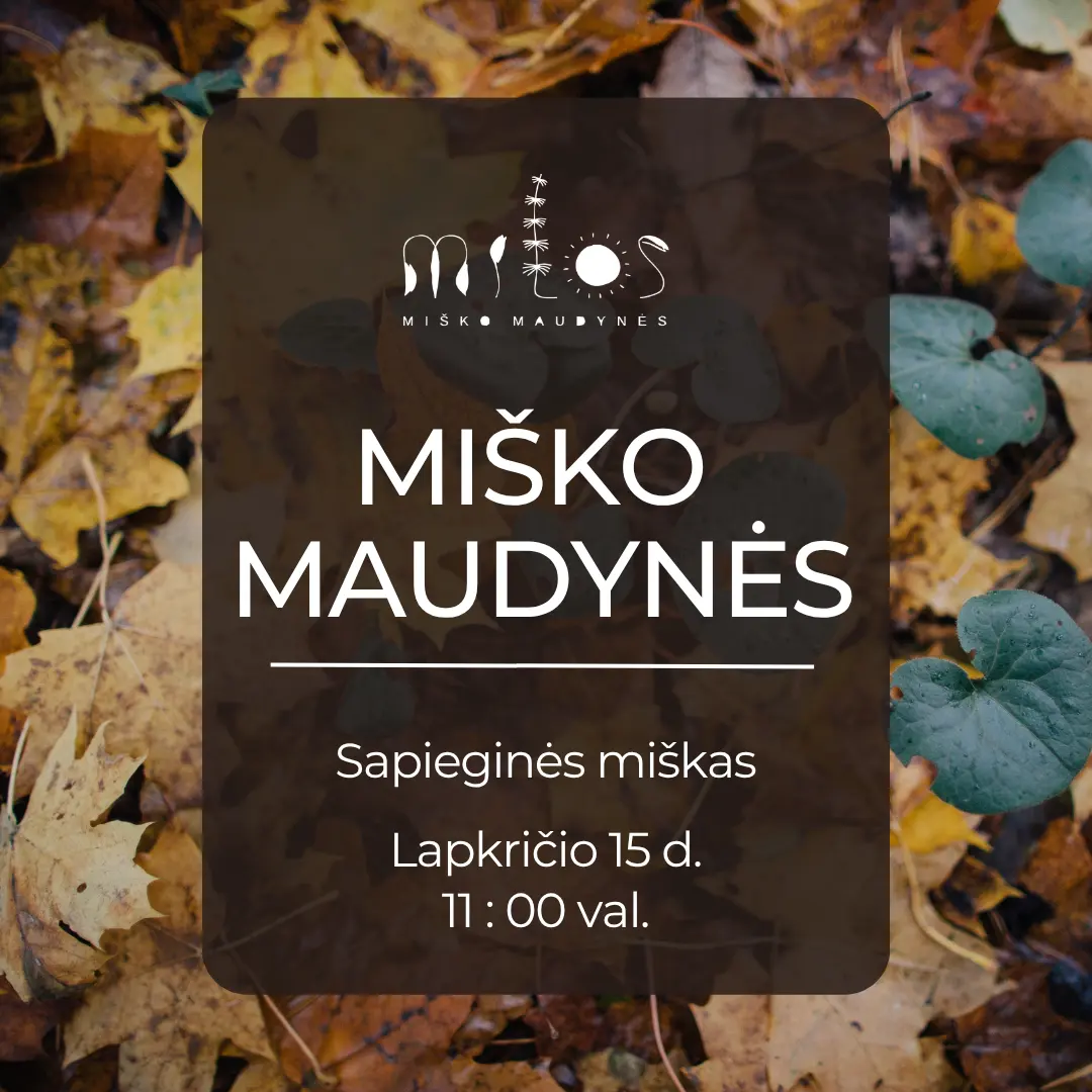 2026.11.15 Miško maudynės Sapieginės miškas